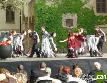 Imatge de les danses tradicionals del Patrimoni Viu de l'any passat