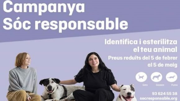 Cartell de la campanya 'Sóc responsable' / Imatge: web 'Sóc responsable'