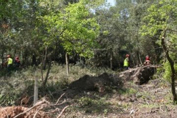 Treballadors netejant el bosc / Font: Premsa EMD Valldoreix