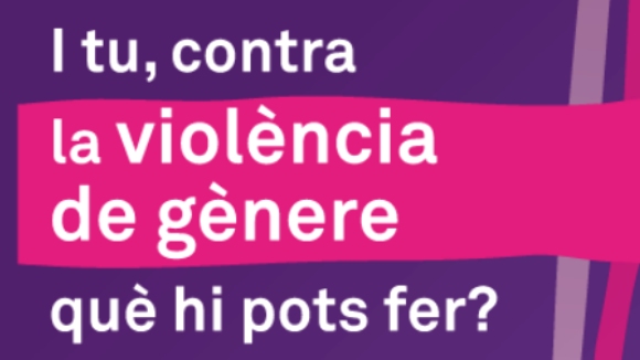 Presentaci de l'informe 'Impacte de la violncia contra les dones a la ciutat de Sant Cugat'